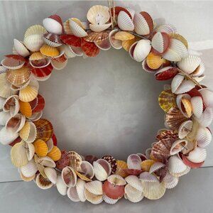 Natural Gorgeous And Vibrant House Decoration Seashell Multicolor Sz 14"x4"